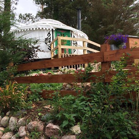 The Tall Pines Yurt Helmsdale Exterior foto